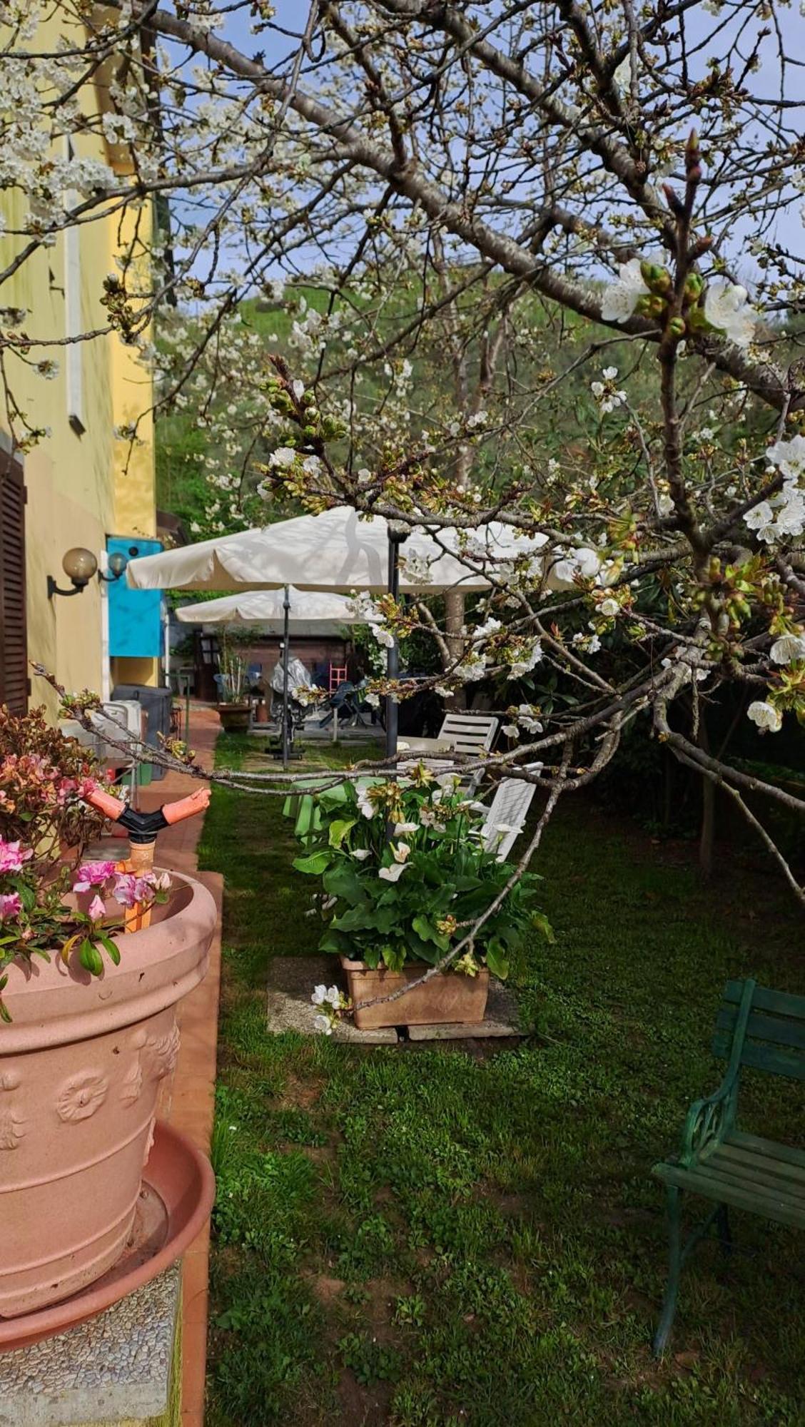 B&B Villa C'Era Una Volta Marina di Massa Exterior foto